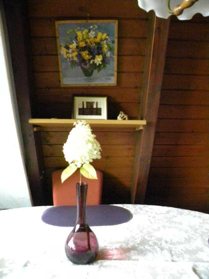 Ferienhaus Sommerland Auszeithuette ฟรายยุง ภายนอก รูปภาพ